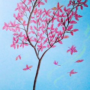 色玖玖综合视频在线播放
